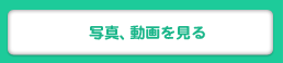 写真、動画を見る